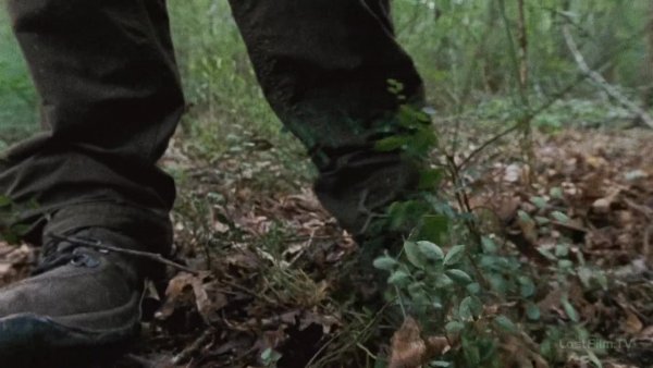 The.Walking.Dead.S06E10.1080p.rus.mvo.LostFilm.mp4