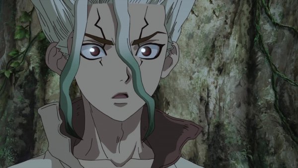 Dr_Stone_[12].1080p.RUS.MVO.AniLibria.mp4