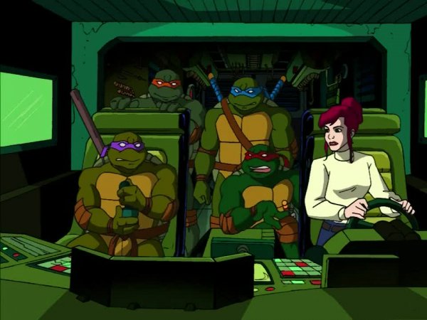 Teenage_Mutant_Ninja_Turtles_(2003)_s01e25.720p.Flarrow.Films.mp4