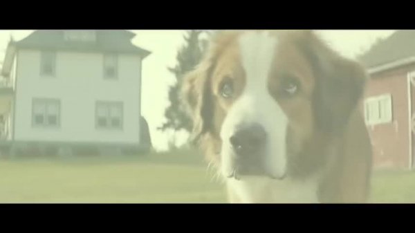 A_Dog's_Purpose_-_Русский_трейлер_-_2017_-_480P.mp4