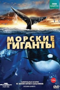 BBC: Морские гиганты