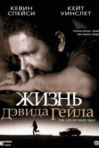 Жизнь Дэвида Гейла (2002)