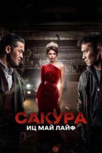 Сакура. Иц май лайф (2024)