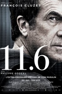 11.6 (2013)